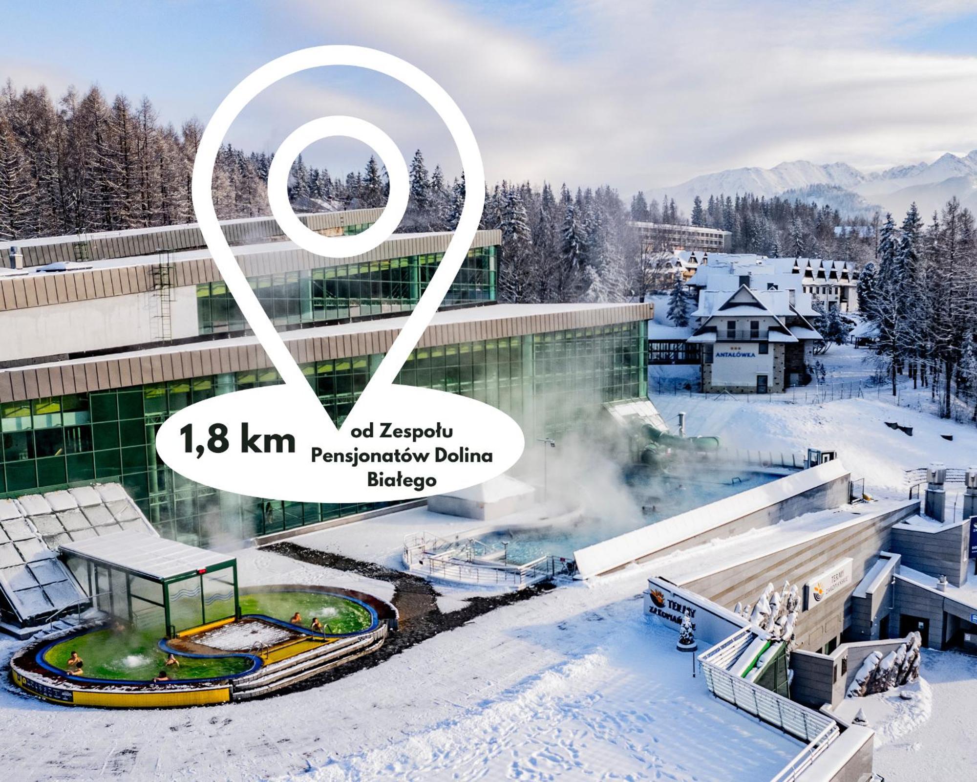 Zespol Dolina Bialego - Pensjonat Bialy Potok Zakopane Extérieur photo